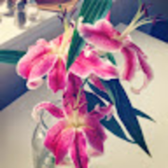 Meet the Posher Other - Meet your Posher, Abby